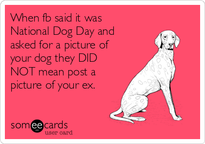 When fb said it was
National Dog Day and
asked for a picture of
your dog they DID
NOT mean post a
picture of your ex.