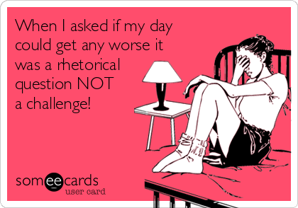 When I asked if my day
could get any worse it
was a rhetorical
question NOT
a challenge! 