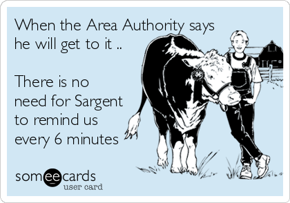 When the Area Authority says
he will get to it ..

There is no
need for Sargent
to remind us
every 6 minutes