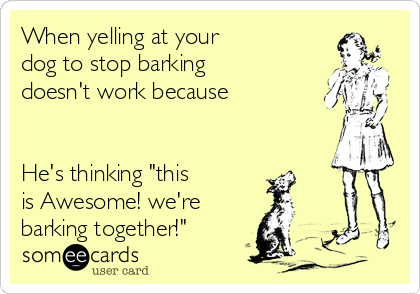 When yelling at your 
dog to stop barking
doesn't work because
 

He's thinking "this
is Awesome! we're
barking together!"