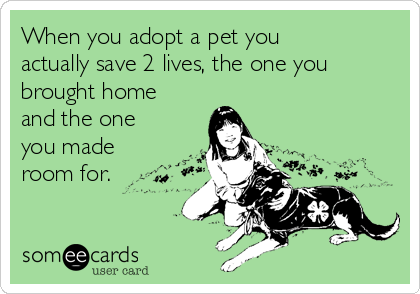 When you adopt a pet you
actually save 2 lives, the one you
brought home
and the one
you made
room for.
