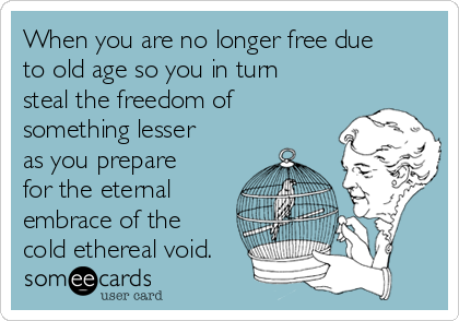 When you are no longer free due
to old age so you in turn
steal the freedom of
something lesser
as you prepare
for the eternal
embrace of the
cold ethereal void. 