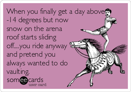 When you finally get a day above
-14 degrees but now
snow on the arena
roof starts sliding
off....you ride anyway
and pretend you
always wanted to do
vaulting.