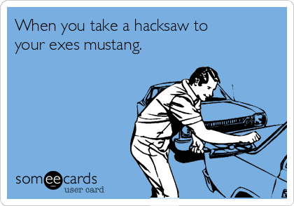 When you take a hacksaw to
your exes mustang.     
  