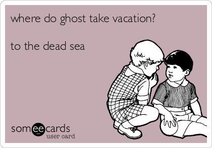 where do ghost take vacation?

to the dead sea