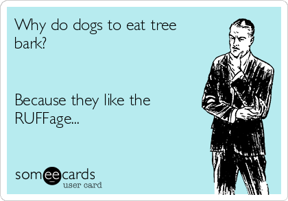 Why do dogs to eat tree
bark?


Because they like the
RUFFage...