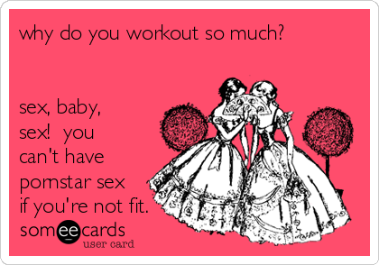 why do you workout so much?


sex, baby,
sex!  you
can't have
pornstar sex
if you're not fit.