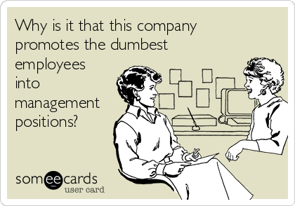 Why is it that this company
promotes the dumbest
employees
into
management
positions? 