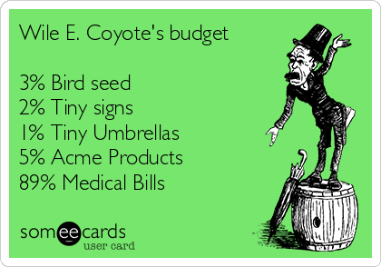 Wile E. Coyote's budget

3% Bird seed
2% Tiny signs
1% Tiny Umbrellas
5% Acme Products
89% Medical Bills
