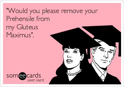 "Would you please remove your
Prehensile from
my Gluteus
Maximus".