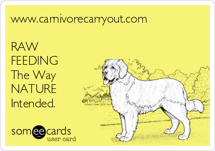 www.carnivorecarryout.com

RAW
FEEDING
The Way
NATURE
Intended. 