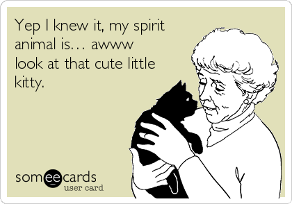 Yep I knew it, my spirit
animal is… awww
look at that cute little
kitty. 