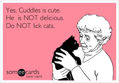 Yes, Cuddles is cute. 
He  is NOT delicious.
Do NOT lick cats.