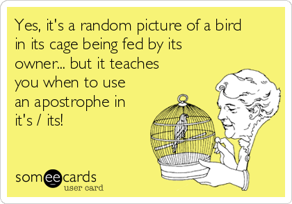 Yes, it's a random picture of a bird
in its cage being fed by its
owner... but it teaches
you when to use
an apostrophe in
it's / its!