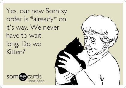 Yes, our new Scentsy
order is *already* on
it's way. We never
have to wait
long. Do we
Kitten?