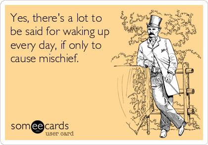 Yes, there's a lot to
be said for waking up
every day, if only to
cause mischief.

