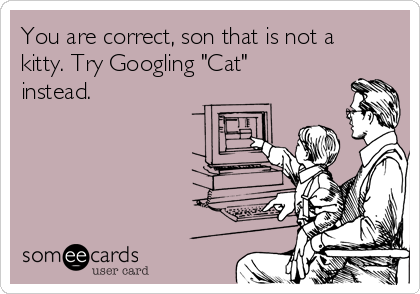 You are correct, son that is not a
kitty. Try Googling "Cat"
instead.