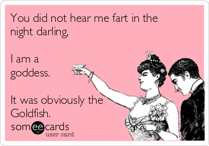 You did not hear me fart in the
night darling,

I am a
goddess.

It was obviously the
Goldfish.