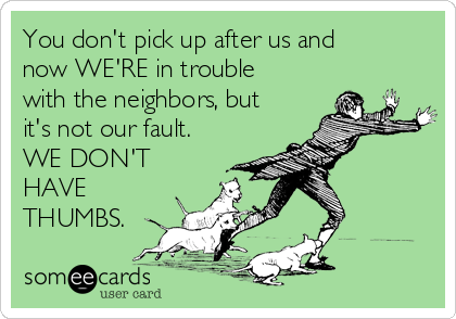 You don't pick up after us and
now WE'RE in trouble
with the neighbors, but
it's not our fault.
WE DON'T
HAVE
THUMBS.