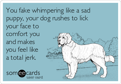 You fake whimpering like a sad
puppy, your dog rushes to lick
your face to
comfort you
and makes
you feel like
a total jerk. 