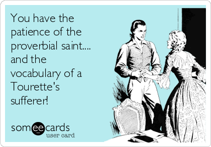 You have the
patience of the
proverbial saint....
and the
vocabulary of a
Tourette's
sufferer! 
