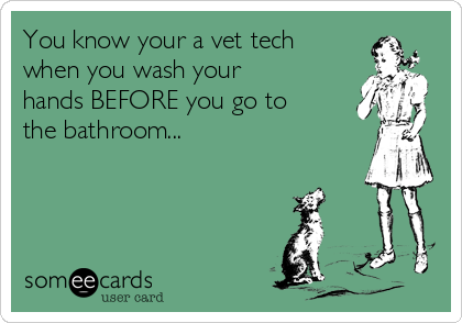 You know your a vet tech
when you wash your
hands BEFORE you go to
the bathroom...