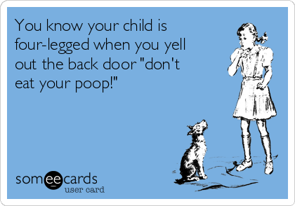 You know your child is
four-legged when you yell
out the back door "don't
eat your poop!"