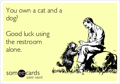 You own a cat and a
dog?

Good luck using
the restroom
alone.