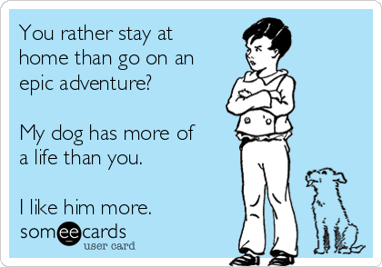 You rather stay at
home than go on an
epic adventure?

My dog has more of
a life than you.

I like him more.