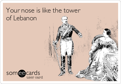 Your nose is like the tower
of Lebanon 