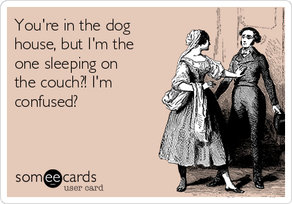 You're in the dog
house, but I'm the
one sleeping on
the couch?! I'm
confused?