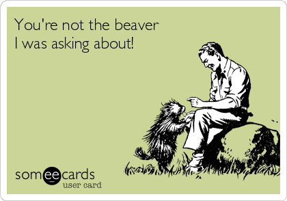 You're not the beaver 
I was asking about! 
