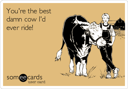 You're the best
damn cow I'd
ever ride!