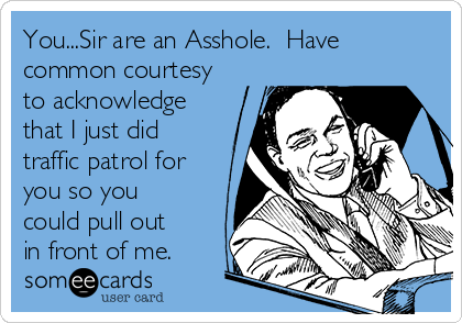 You...Sir are an Asshole.  Have
common courtesy
to acknowledge
that I just did
traffic patrol for
you so you
could pull out
in front of me.