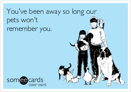 You've been away so long our
pets won't
remember you.
