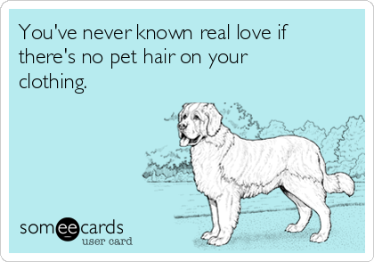 You've never known real love if
there's no pet hair on your
clothing.